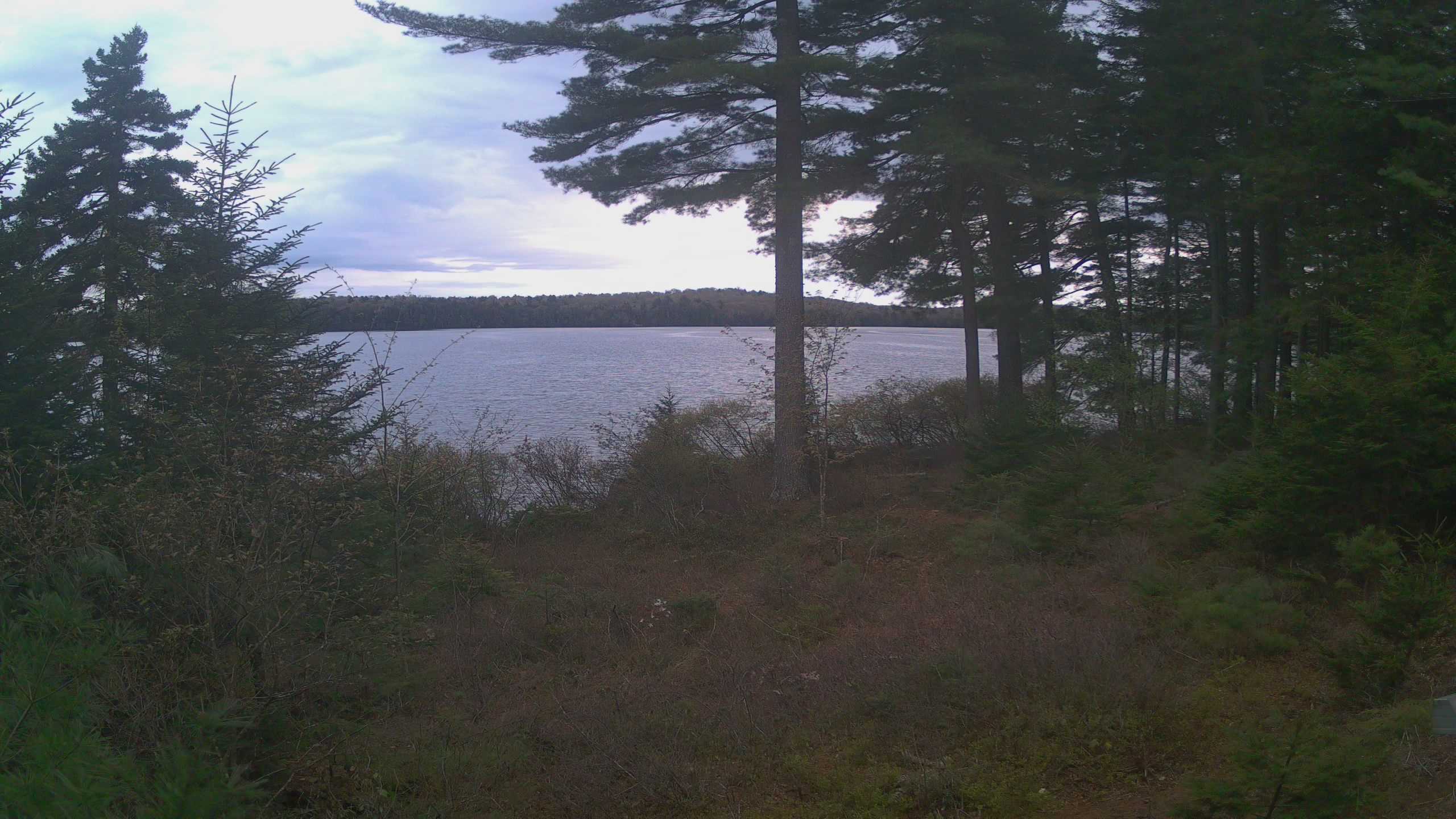 Hoel Pond Webcam view.