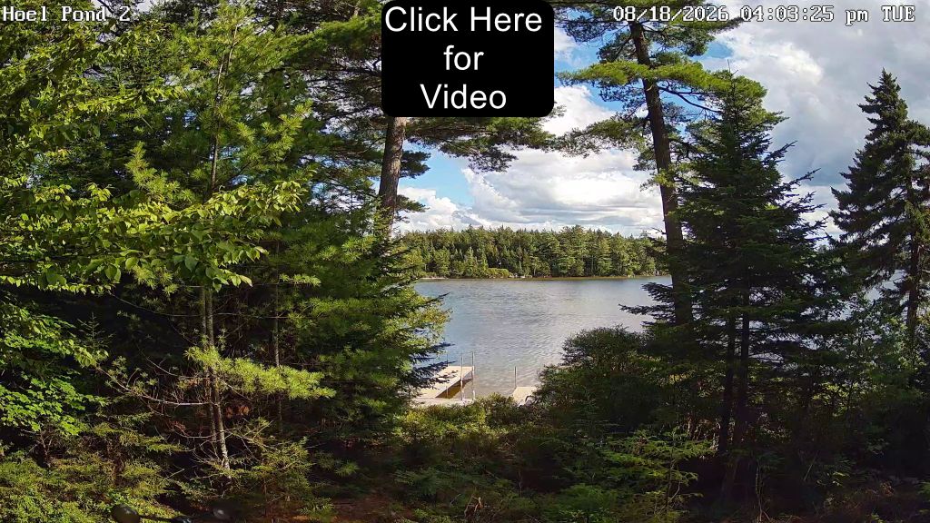 Hoel Pond Webcam view - Click on photo for Video.
